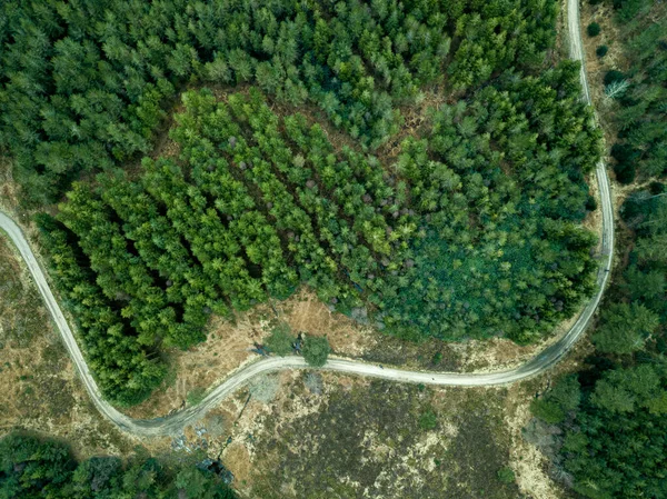 Αεροφωτογραφία Του Δάσους Πάντλταουν Στο Ντόρσετ Του Ηνωμένου Βασιλείου — Φωτογραφία Αρχείου