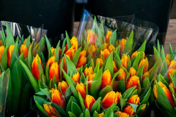 Bunch Vibrant Red Orange Tulips Plastic Wrappings Local Florists Market — Stock Photo, Image