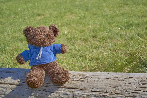 Eine Nahaufnahme Von Einem Niedlichen Braunen Spielzeugbär Einer Blauen Bluse — Stockfoto