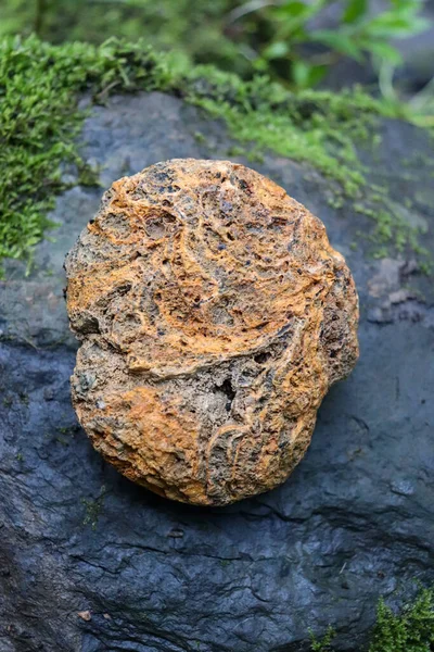 Närbild Bild Stor Torr Isolerad Mineral Sten Vertikal Skott — Stockfoto