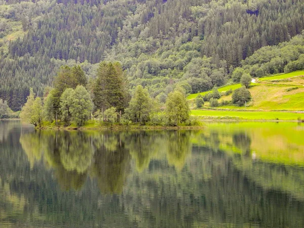 湖の山や木の反射の風光明媚なショット — ストック写真