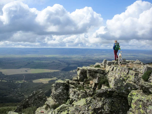 Жіночий Пішохід Собакою Вершині Скелястої Гори — стокове фото