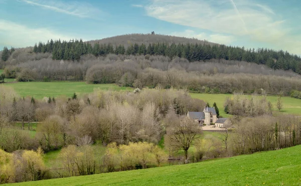 Beau Paysage Manoir Solitaire Debout Dans Une Forêt Avec Des — Photo