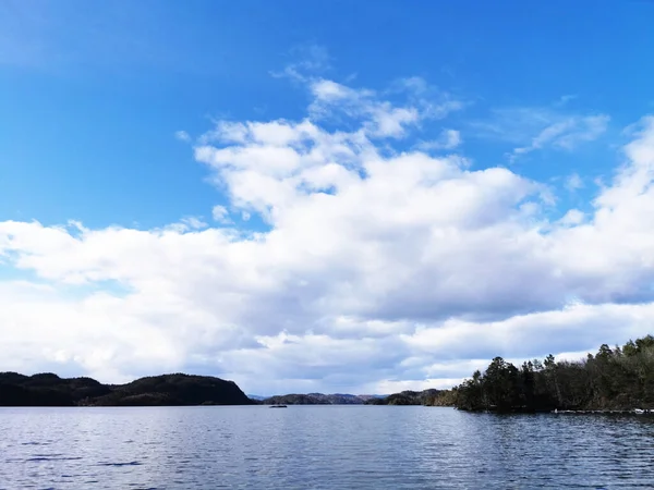 Pemandangan Indah Dari Sebuah Danau Dikelilingi Oleh Tanaman Hijau Larvik — Stok Foto