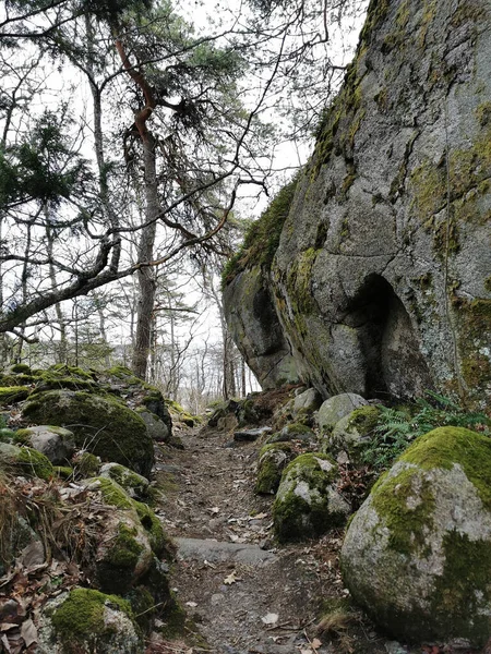 Прекрасний Знімок Реккевика Норвегія — стокове фото