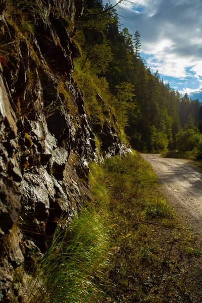 Een Griezelig Landschap Van Een Met Bomen Omzoomde Bergweg Verticaal — Stockfoto