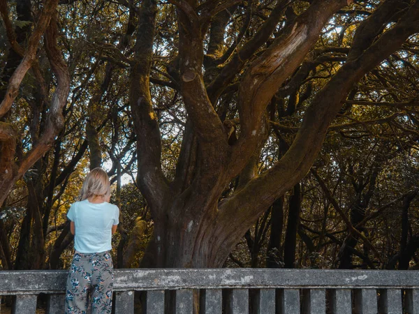 Een Vrouw Die Een Brug Bij Grote Bomen Van Achteren — Stockfoto