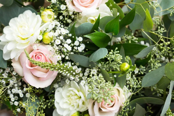 Espeso Arbusto Rosas Blancas Rosadas Con Hojas Verdes Ramitas Florecientes — Foto de Stock