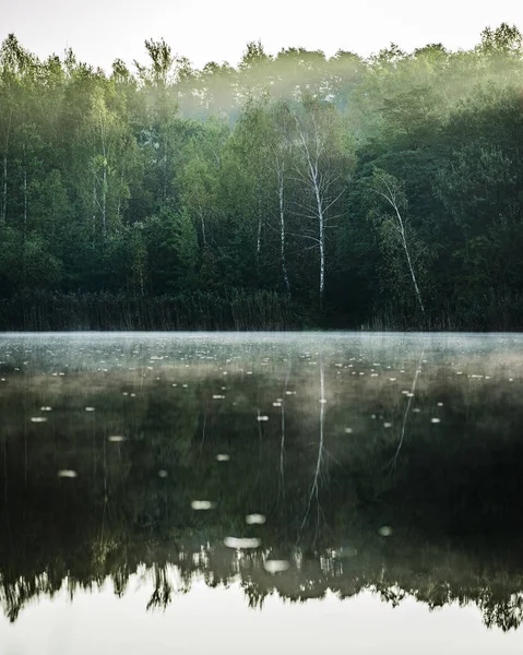 Plano Vertical Del Reflejo Los Árboles Agua — Foto de Stock