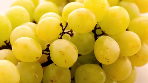 Uvas Frescas Maduras Sobre Fondo Blanco — Vídeos de Stock