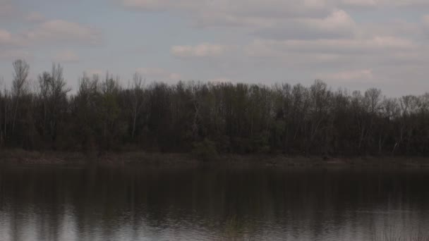 Piękny Widok Jezioro Rano — Wideo stockowe