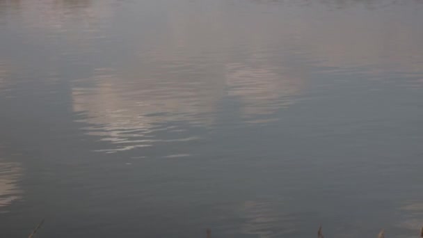 Sabah Göl Manzarası Çok Güzel — Stok video