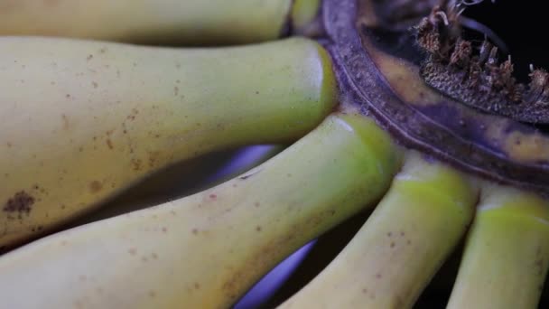 Närbild Ett Gäng Mogna Bananer — Stockvideo