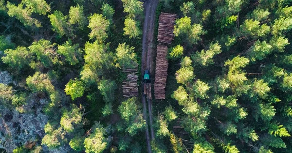 Aerial View Forest Harvester Cutting Trees Making Logs Middle Finnish — Stock Photo, Image