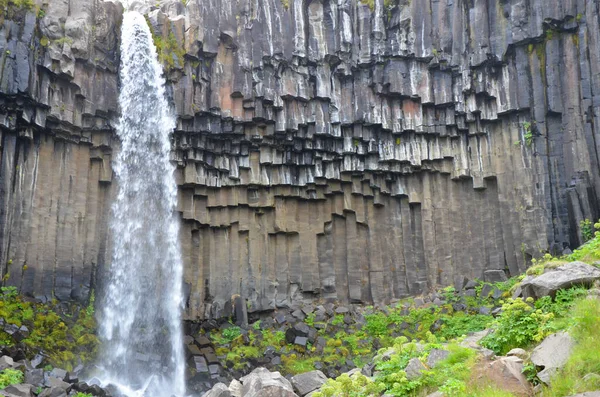 Una Pequeña Cascada Desde Acantilado Con Plantas Verdes Plato — Foto de Stock