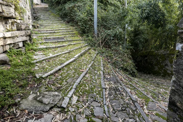 Una Antigua Escalera Piedra Cubierta Musgo Follaje Otoñal — Foto de Stock