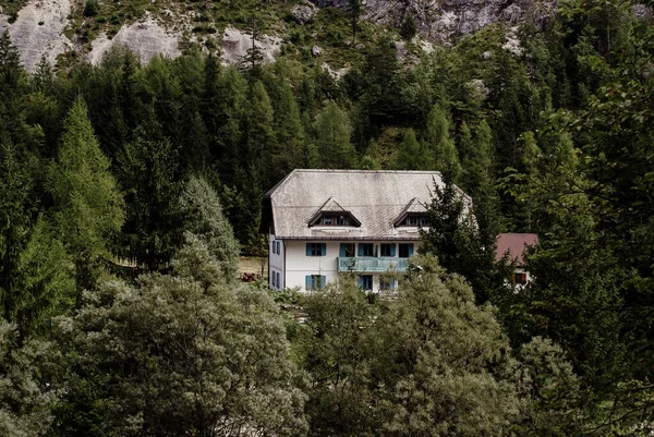 Piękny Górski Krajobraz Budynkami Zielenią Parku Narodowym Triglav Słowenia — Zdjęcie stockowe