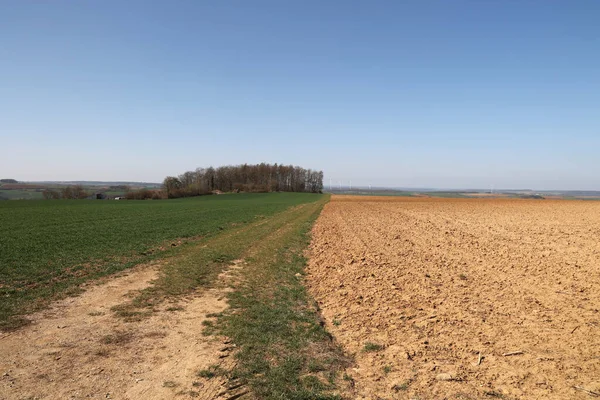 Piękny Wiosenny Krajobraz Gruntami Ornymi Łąkami — Zdjęcie stockowe