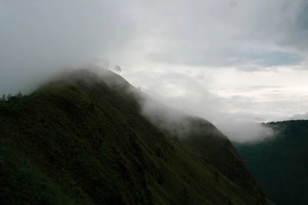 朝の霧の中で緑に覆われた山々の息をのむような景色 — ストック写真