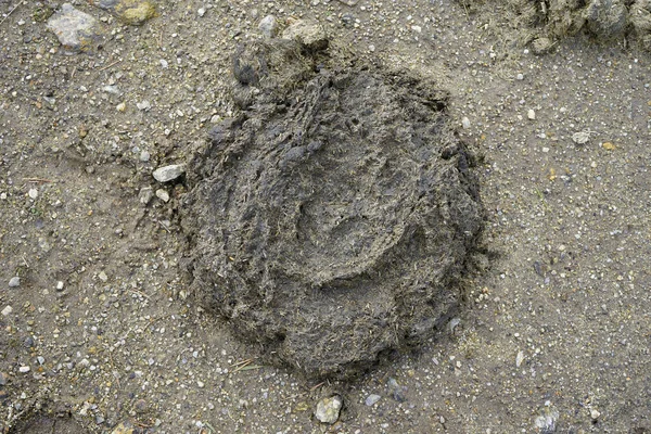 Ein Blick Von Oben Auf Gülle — Stockfoto