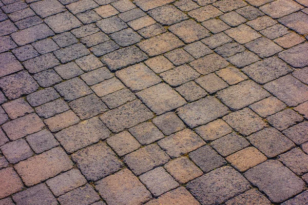 Detailed Old Historical Cobblestone Road — Stock Photo, Image