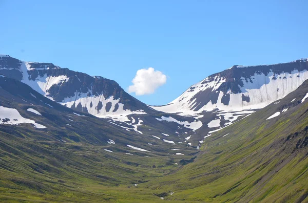 Primer Plano Montañas Cubiertas Vegetación Nieve Bajo Cielo Brillante —  Fotos de Stock