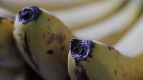 Closeup Shot Bunch Ripe Bananas — Stock Video