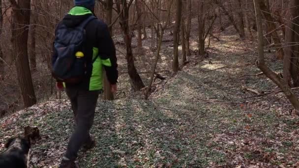 Mężczyzna Psem Spacerującym Jesiennym Lesie — Wideo stockowe