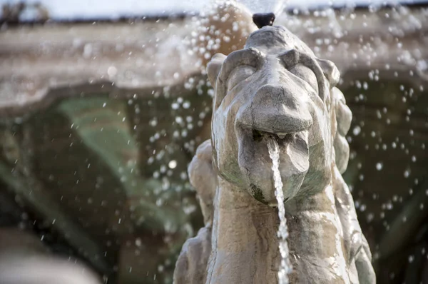 Une Fontaine Avec Des Chevaux Pesaro Italie — Photo