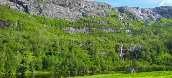 Ein Panoramablick Auf Prächtige Bäume Entlang Eines Flusses Der Felsigen — Stockfoto