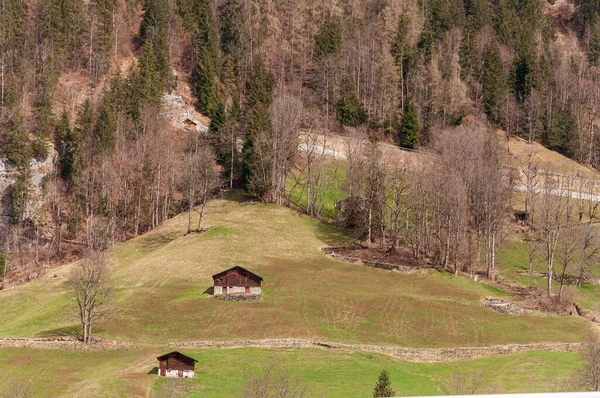 Casas Rurais Rodeadas Árvores Uma Colina Lauterbrunnen Suíça — Fotografia de Stock