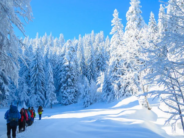 Bir Grup Yürüyüşçünün Karlı Dağda Yürüyüşünün Parlak Bir Görüntüsü — Stok fotoğraf