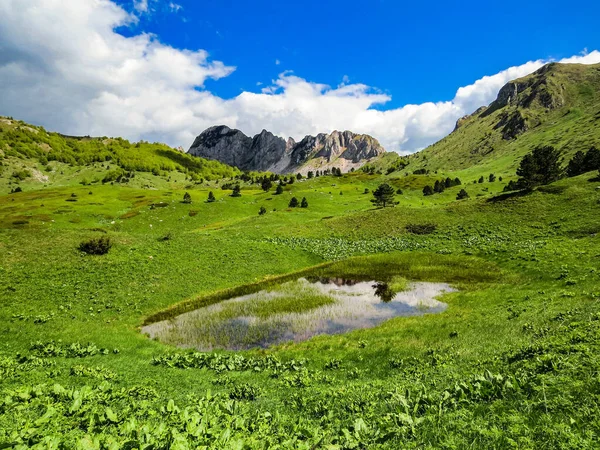 Čerstvá Zelená Tráva Pokrývající Krásné Hory Pozadí Zamračené Modré Oblohy — Stock fotografie