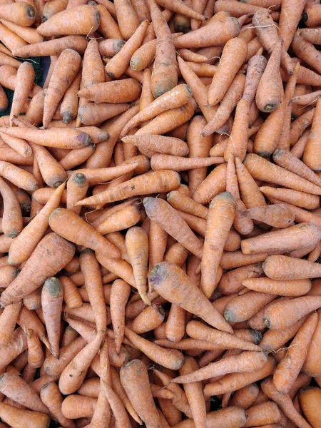 Вертикальний Постріл Багато Свіжої Моркви — стокове фото