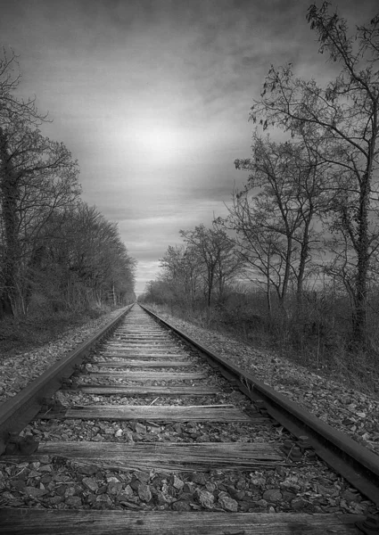 Vertical Shot Railroad Sunlight — Stock Photo, Image