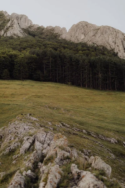 Bellissimo Paesaggio Con Alberi Verdi Lussureggianti Rocce Sullo Sfondo Paesino — Foto Stock