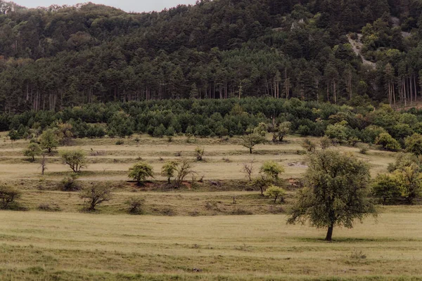 Uitzicht Een Schilderachtig Bosrijk Terrein Omgeving Van Het Dorp Rimetea — Stockfoto