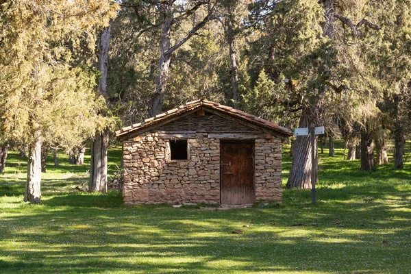 Árvores Zimbro Com Pequeno Edifício Pedra Calatanazor Soria Espanha — Fotografia de Stock