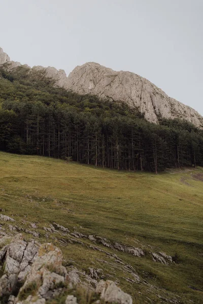 Paesaggio Panoramico Con Rocce Terreno Boscoso Sullo Sfondo — Foto Stock