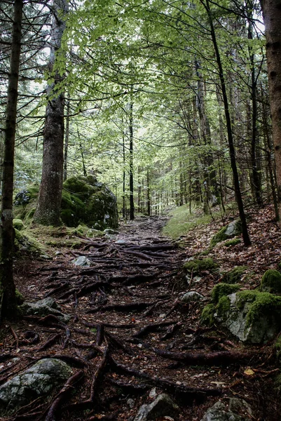 Vertikální Záběr Přírodní Scenérie Národním Parku Triglav Slovinsko — Stock fotografie