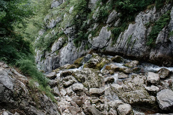 Hermoso Plano Paisajes Naturales Parque Nacional Triglav Eslovenia — Foto de Stock