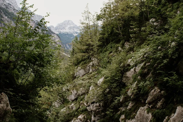 Uno Splendido Scenario Naturale Nel Parco Nazionale Del Triglav Slovenia — Foto Stock