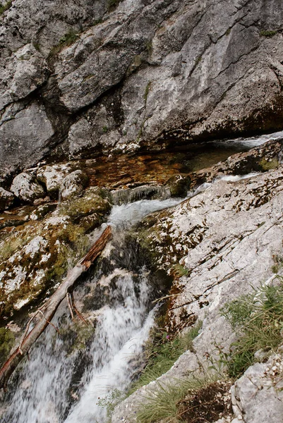Vertical Shot Natural Scenery Triglav National Park Slovenia — Stock Photo, Image