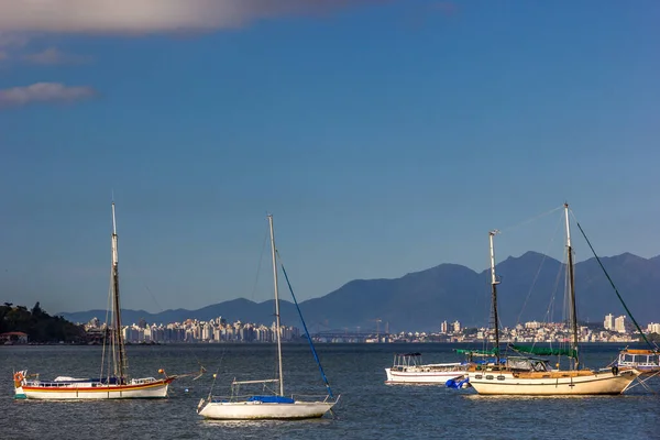 Close Uma Baía Com Veleiros Iates Florianópolis Brasil — Fotografia de Stock