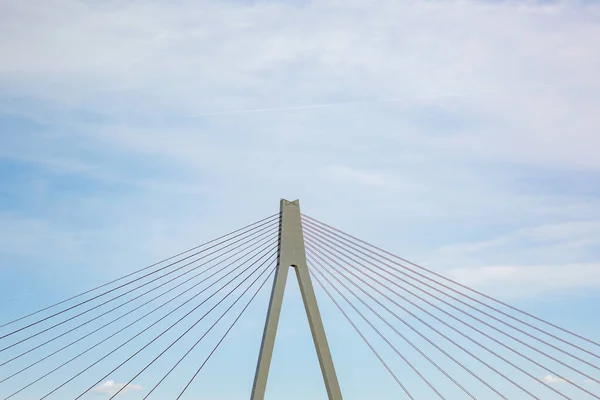 Pylon Och Stålkablar Bron Över Floden Rhine Nära Neuwied Tyskland — Stockfoto