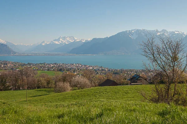 Sviçre Corsier Den Yüksek Dağların Altında Cenevre Gölü Montreux Manzarası — Stok fotoğraf
