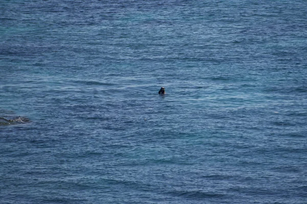 Plongeur Prêt Plonger Dans Mer — Photo