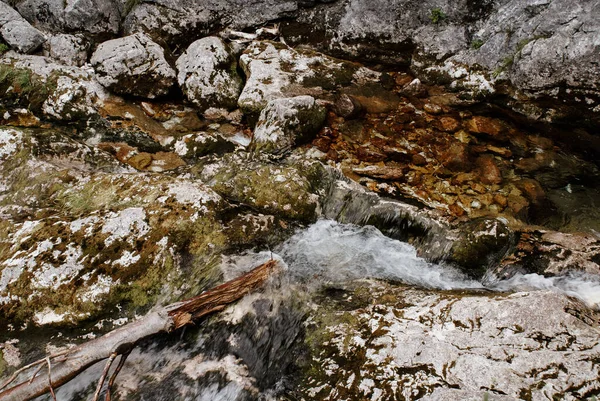 Beau Cliché Paysages Rocheux Naturels Dans Parc National Triglav Slovénie — Photo