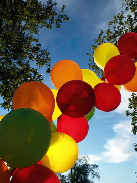 Globos Festivos Parecen Alcanzar Cielo Azul Más Allá Los Árboles — Foto de Stock