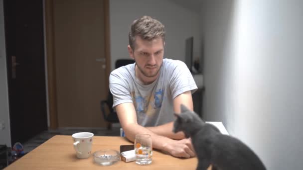 Hombre Caucásico Sentado Una Silla Habitación Siendo Molesto Por Gato — Vídeo de stock
